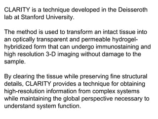 CLARITY is a technique developed in the Deisseroth 
lab at Stanford University.
The method is used to transform an intact tissue into 
an optically transparent and permeable hydrogel-
hybridized form that can undergo immunostaining and 
high resolution 3-D imaging without damage to the 
sample. 
By clearing the tissue while preserving fine structural 
details, CLARITY provides a technique for obtaining 
high-resolution information from complex systems 
while maintaining the global perspective necessary to 
understand system function.
 