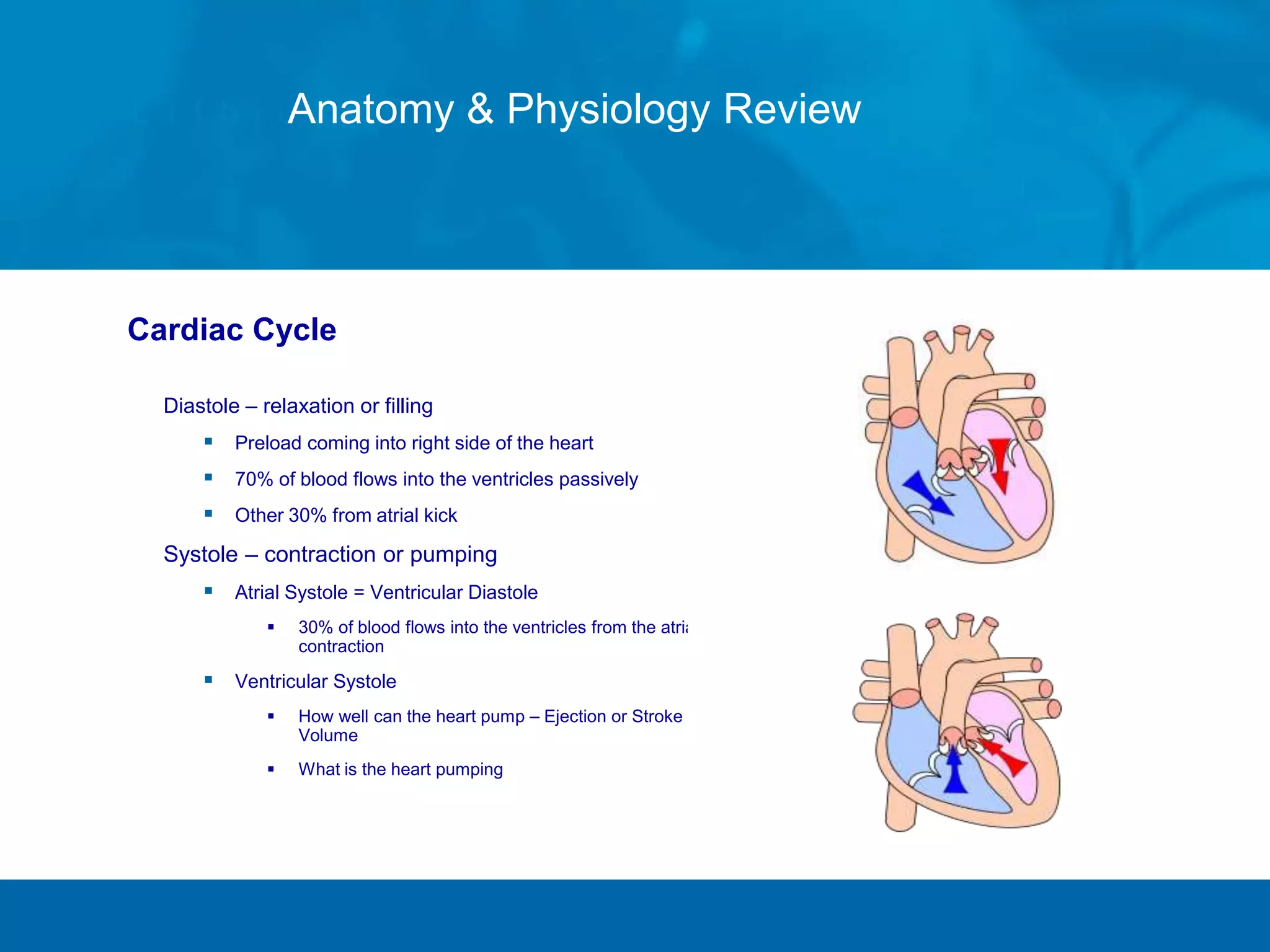 Cardiac Cycle
Diastole – relaxation or filling
 Preload coming into right side of the heart
 70% of blood flows into the ventricles passively
 Other 30% from atrial kick
Systole – contraction or pumping
 Atrial Systole = Ventricular Diastole
 30% of blood flows into the ventricles from the atrial
contraction
 Ventricular Systole
 How well can the heart pump – Ejection or Stroke
Volume
 What is the heart pumping against - SVR
Anatomy & Physiology Review
 