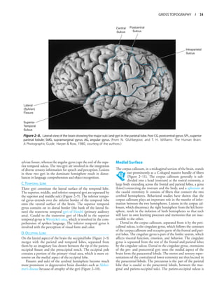 _functional-neuroanatomy-text-and-atlas-2nd-ed-9780071408127-0071408126.pdf