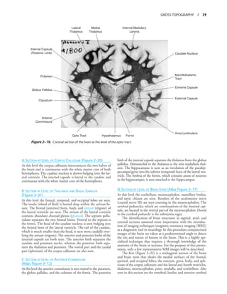 Moderate Cerebral Involution _functional-neuroanatomy-text-and-atlas-2nd-ed-9780071408127-0071408126.pdf