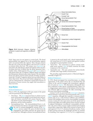 _functional-neuroanatomy-text-and-atlas-2nd-ed-9780071408127-0071408126.pdf