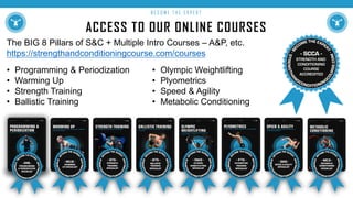 ACCESS TO OUR ONLINE COURSES
B E C O M E T H E E X P E R T
The BIG 8 Pillars of S&C + Multiple Intro Courses – A&P, etc.
https://strengthandconditioningcourse.com/courses
• Programming & Periodization
• Warming Up
• Strength Training
• Ballistic Training
• Olympic Weightlifting
• Plyometrics
• Speed & Agility
• Metabolic Conditioning
 