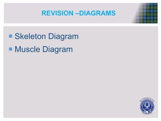 REVISION –DIAGRAMS
 Skeleton Diagram
 Muscle Diagram
 