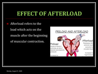 Functional anatomy and physiology of cardiac muscle | PPT