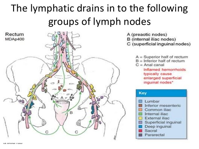 Functional anatomy of cancer