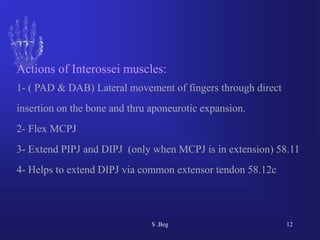 Comprehensive Functional Anatomy of the Human Hand: Muscles, Tendons ...