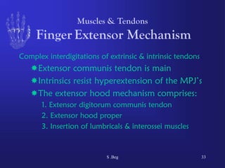 Comprehensive Functional Anatomy of the Human Hand: Muscles, Tendons ...