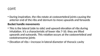 Comprehensive Functional Anatomy and Physiology of Respiratory ...