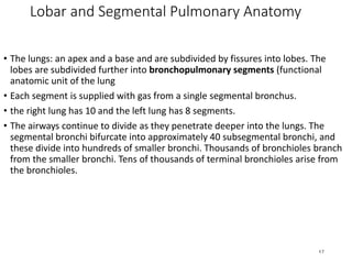functional_anatomy_of_respiratory_system.pdf,DFGVBHRTERTE | PDF