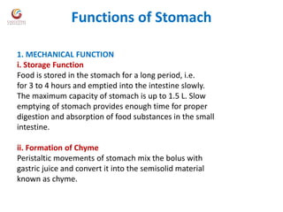 Functional anatomy of stomach, functions of stomach and glands of ...