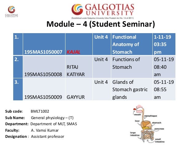 Functional Anatomy Of Stomach Functions Of Stomach And Glands Of Sto Functional Anatomy Of Stomach Functions Of Stomach And Glands Of Sto