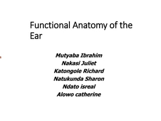 Functional Anatomy of the
Ear
Mutyaba Ibrahim
Nakasi Juliet
Katongole Richard
Natukunda Sharon
Ndato isreal
Alowo catherine
 