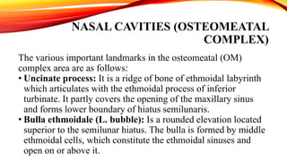 Omc Complex FUNCTIONAL ANATOMY OF THE NOSE.pptx