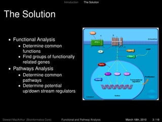 Functional And Pathway Analysis 2010 | PDF