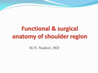 Functional & surgical
anatomy of shoulder region
M.N. Naderi, MD
 