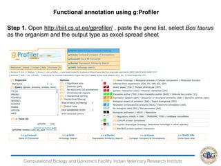 Functional annotation | PDF