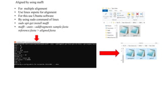 Functional ANNOTATION OF GENOME.pptx