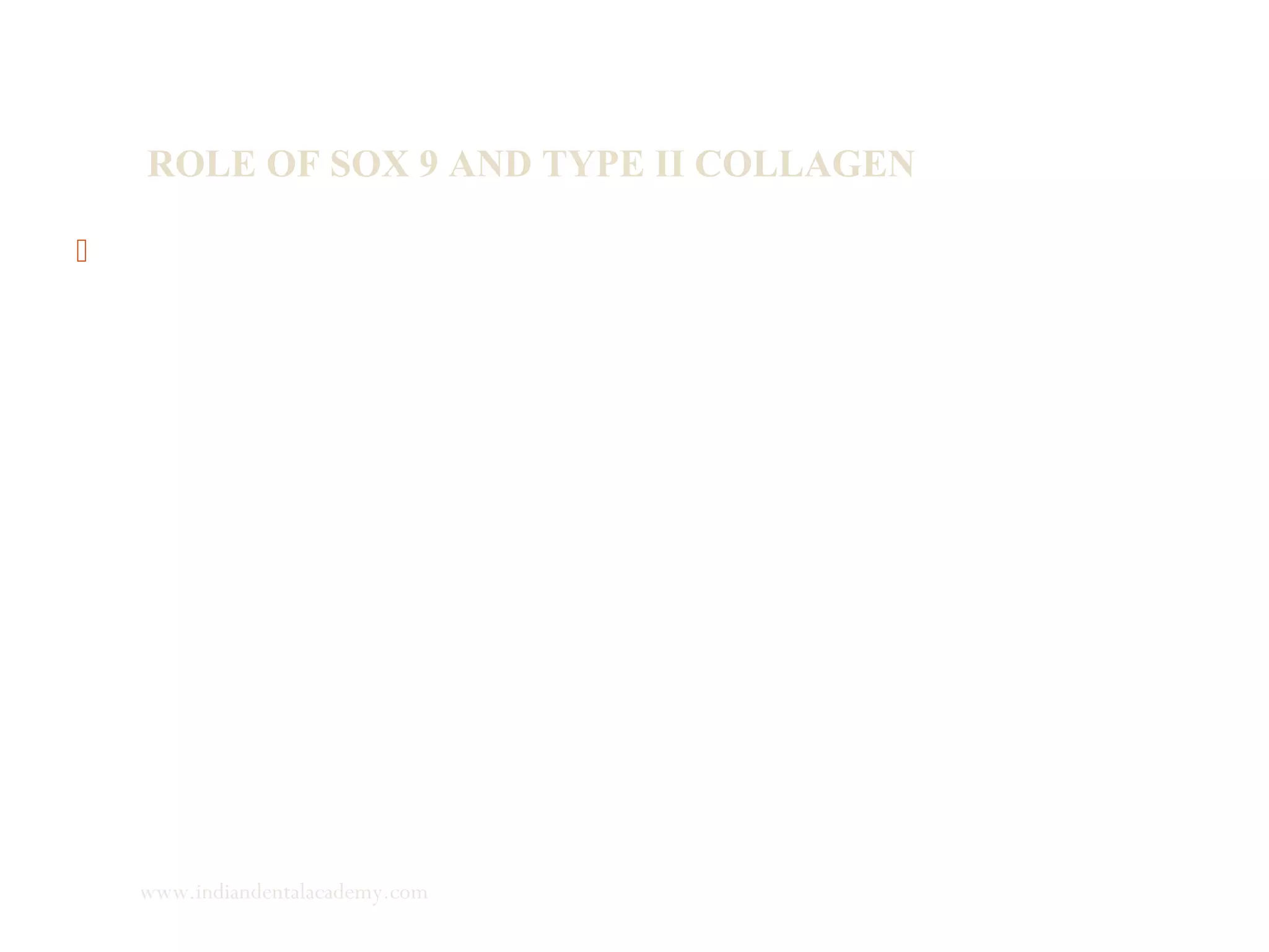 ROLE OF SOX 9 AND TYPE II COLLAGEN
 Chondroid bone in the glenoid fossa a unique calcified tissue
that possess morphological and structural properties
intermediate between those of cartilage and bone.
Morphologically, chondroid cells look similar to the
chondrocytes, but they are surrounded by a bone like matrix.
This extracellular matrix consists of cartilage, type II and X
collagens and also type I collagen, osteocalcin which are
components of bone.
www.indiandentalacademy.com
 