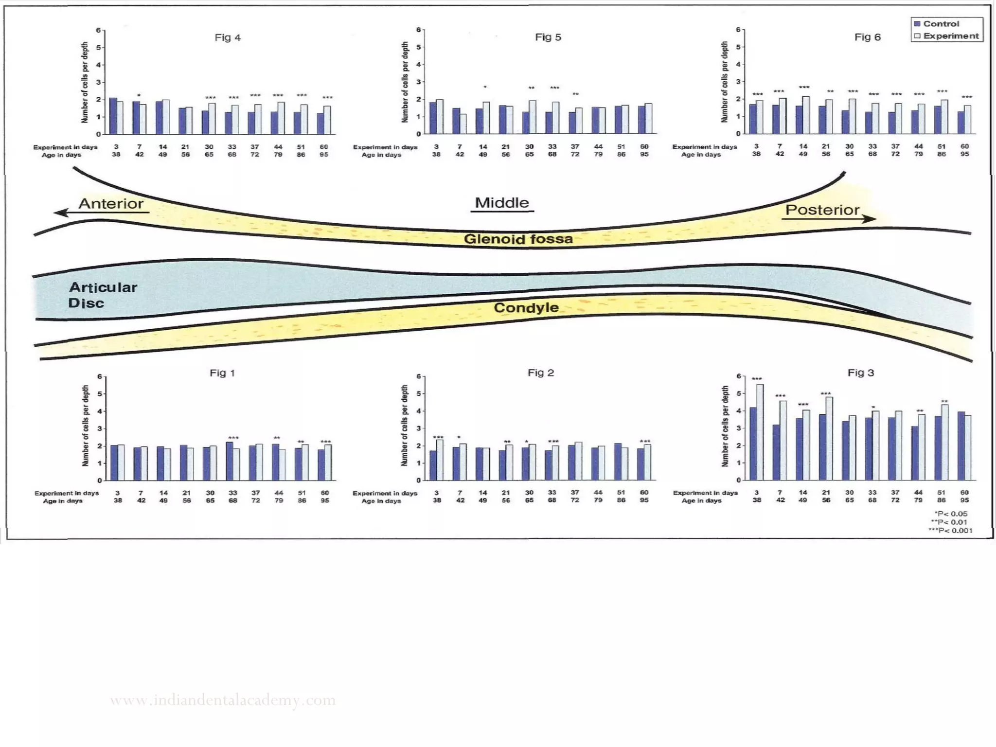 ward mandibular positioning resulted in significant increase in
ber of replicating cells in posterior areas of condyle and glenoid f
O-DO Rabie, Louise Wong, Marjorie Tsai. JAN 2003 ; 123 ;49-57 .www.indiandentalacademy.com
 