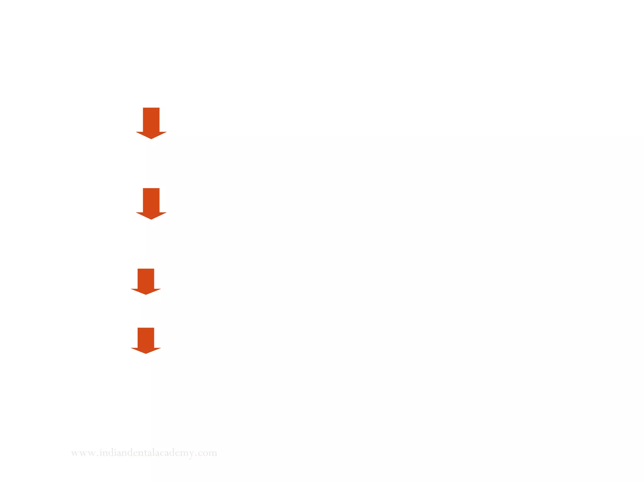 Type X collagen
Endochondral ossification
Hypertrophic cartilage matrix
Replaced by
Bone
onset
www.indiandentalacademy.com
 