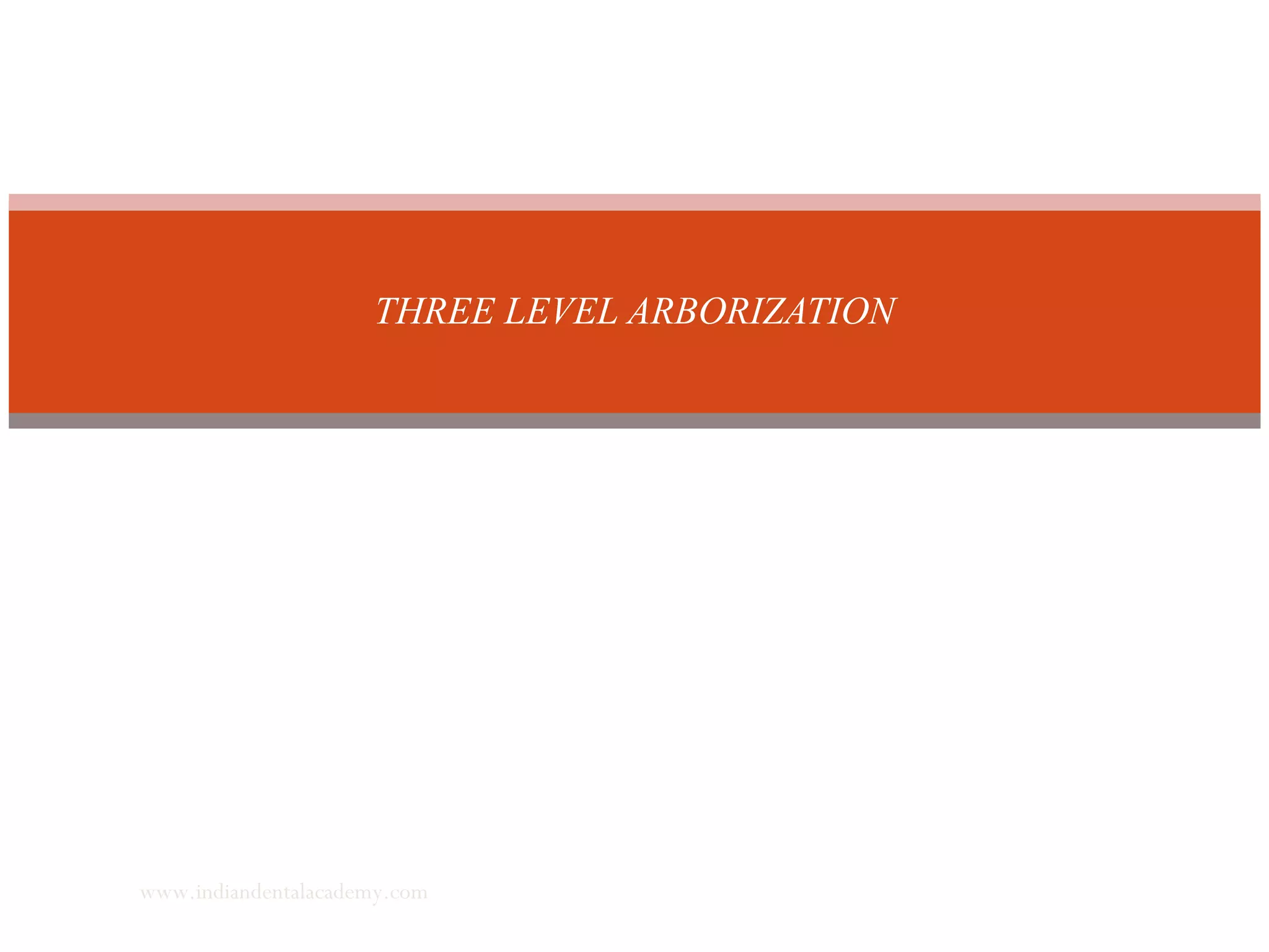THREE LEVEL ARBORIZATION
www.indiandentalacademy.com
 