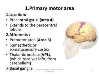 1.Primary motor area
1.Location:
• Precentral gyrus (area 4)
• Extends to the paracentral
lobule
2.Affrerents :
• Premotor area (Area 6)
• Somesthetic or
somatosensory cortex
• Thalamic nucleus(VPL),
(which receives info. from
cerebellum)
Basal ganglia1/5/2016 10
Dr.Deepak N.Khedekar.LTMMC & GH,SION
,MUMBAI.22
 