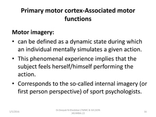 Primary motor cortex-Associated motor
functions
Motor imagery:
• can be defined as a dynamic state during which
an individual mentally simulates a given action.
• This phenomenal experience implies that the
subject feels herself/himself performing the
action.
• Corresponds to the so-called internal imagery (or
first person perspective) of sport psychologists.
1/5/2016 16
Dr.Deepak N.Khedekar.LTMMC & GH,SION
,MUMBAI.22
 