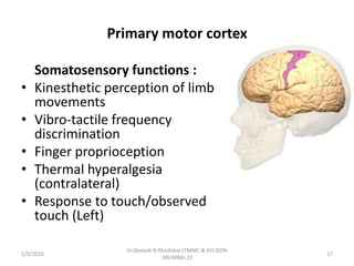 Primary motor cortex
Somatosensory functions :
• Kinesthetic perception of limb
movements
• Vibro-tactile frequency
discrimination
• Finger proprioception
• Thermal hyperalgesia
(contralateral)
• Response to touch/observed
touch (Left)
1/5/2016 17
Dr.Deepak N.Khedekar.LTMMC & GH,SION
,MUMBAI.22
 