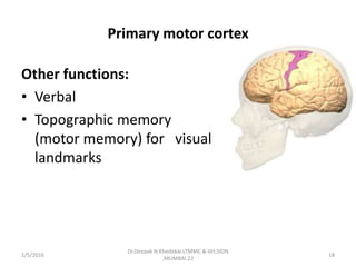 Primary motor cortex
Other functions:
• Verbal
• Topographic memory
(motor memory) for visual
landmarks
1/5/2016 18
Dr.Deepak N.Khedekar.LTMMC & GH,SION
,MUMBAI.22
 