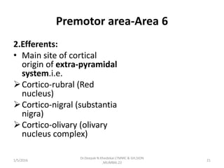 Premotor area-Area 6
2.Efferents:
• Main site of cortical
origin of extra-pyramidal
system.i.e.
Cortico-rubral (Red
nucleus)
Cortico-nigral (substantia
nigra)
Cortico-olivary (olivary
nucleus complex)
1/5/2016 21
Dr.Deepak N.Khedekar.LTMMC & GH,SION
,MUMBAI.22
 