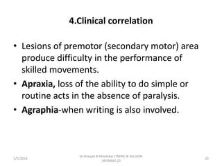 4.Clinical correlation
• Lesions of premotor (secondary motor) area
produce difficulty in the performance of
skilled movements.
• Apraxia, loss of the ability to do simple or
routine acts in the absence of paralysis.
• Agraphia-when writing is also involved.
1/5/2016 23
Dr.Deepak N.Khedekar.LTMMC & GH,SION
,MUMBAI.22
 