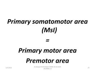 Primary somatomotor area
(MsI)
=
Primary motor area
Premotor area
1/5/2016 24
Dr.Deepak N.Khedekar.LTMMC & GH,SION
,MUMBAI.22
 