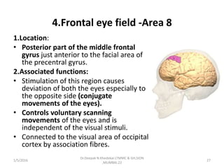 4.Frontal eye field -Area 8
1.Location:
• Posterior part of the middle frontal
gyrus just anterior to the facial area of
the precentral gyrus.
2.Associated functions:
• Stimulation of this region causes
deviation of both the eyes especially to
the opposite side (conjugate
movements of the eyes).
• Controls voluntary scanning
movements of the eyes and is
independent of the visual stimuli.
• Connected to the visual area of occipital
cortex by association fibres.
1/5/2016 27
Dr.Deepak N.Khedekar.LTMMC & GH,SION
,MUMBAI.22
 