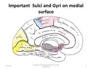 Important Sulci and Gyri on medial
surface
1/5/2016
Dr.Deepak N.Khedekar.LTMMC & GH,SION
,MUMBAI.22
3
 