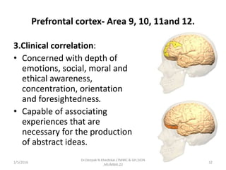 Prefrontal cortex- Area 9, 10, 11and 12.
3.Clinical correlation:
• Concerned with depth of
emotions, social, moral and
ethical awareness,
concentration, orientation
and foresightedness.
• Capable of associating
experiences that are
necessary for the production
of abstract ideas.
1/5/2016 32
Dr.Deepak N.Khedekar.LTMMC & GH,SION
,MUMBAI.22
 