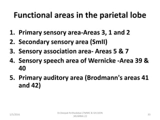 Functional areas in the parietal lobe
1. Primary sensory area-Areas 3, 1 and 2
2. Secondary sensory area (SmII)
3. Sensory association area- Areas 5 & 7
4. Sensory speech area of Wernicke -Area 39 &
40
5. Primary auditory area (Brodmann's areas 41
and 42)
1/5/2016 33
Dr.Deepak N.Khedekar.LTMMC & GH,SION
,MUMBAI.22
 