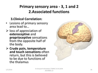 Primary sensory area - 3, 1 and 2
2.Associated functions
3.Clinical Correlation:
• Lesions of primary sensory
area lead to…
 loss of appreciation of
exteroceptive and
proprioceptive sensations
from the opposite half of
the body.
 Crude pain, temperature
and touch sensations often
return, but this is believed
to be due to functions of
the thalamus
1/5/2016 36
Dr.Deepak N.Khedekar.LTMMC & GH,SION
,MUMBAI.22
 