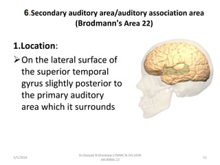 6.Secondary auditory area/auditory association area
(Brodmann's Area 22)
1.Location:
On the lateral surface of
the superior temporal
gyrus slightly posterior to
the primary auditory
area which it surrounds
1/5/2016 51
Dr.Deepak N.Khedekar.LTMMC & GH,SION
,MUMBAI.22
 