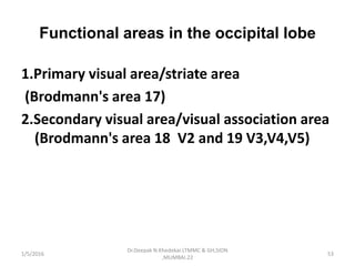 Functional areas in the occipital lobe
1.Primary visual area/striate area
(Brodmann's area 17)
2.Secondary visual area/visual association area
(Brodmann's area 18 V2 and 19 V3,V4,V5)
1/5/2016 53
Dr.Deepak N.Khedekar.LTMMC & GH,SION
,MUMBAI.22
 