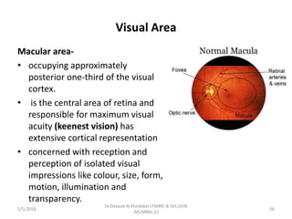 Visual Area
Macular area-
• occupying approximately
posterior one-third of the visual
cortex.
• is the central area of retina and
responsible for maximum visual
acuity (keenest vision) has
extensive cortical representation
• concerned with reception and
perception of isolated visual
impressions like colour, size, form,
motion, illumination and
transparency.
1/5/2016 56
Dr.Deepak N.Khedekar.LTMMC & GH,SION
,MUMBAI.22
 