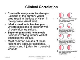 Clinical Correlation
• Crossed homonymous hemianopia
-Lesions of the primary visual
area result in the loss of vision in
the opposite visual field .
• Inferior quadrantic hemianopia -
Unilateral lesions of superior wall
of postcalcarine sulcus.
• Superior quadrantic hemianopia
Lesions involving inferior wall of
postcalcarine sulcus.
• Most common causes of these
lesions are vascular accidents,
tumours and injuries from gunshot
wounds.
1/5/2016 57
Dr.Deepak N.Khedekar.LTMMC & GH,SION
,MUMBAI.22
 