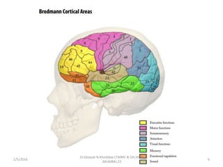 1/5/2016 6
Dr.Deepak N.Khedekar.LTMMC & GH,SION
,MUMBAI.22
 