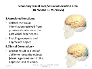 Secondary visual area/visual association area
(18 V2 and 19 V3,V4,V5)
3.Associated functions:
• Relates the visual
information received from
primary visual area to the
past visual experiences
• Enabling recognize and
appreciate object
4.Clinical Correlation –
• Lesions result in a loss of
ability to recognize objects
(visual agnosia) seen in the
opposite field of vision.
1/5/2016 60
Dr.Deepak N.Khedekar.LTMMC & GH,SION
,MUMBAI.22
 