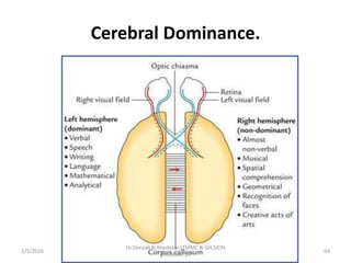 Cerebral Dominance.
1/5/2016 64
Dr.Deepak N.Khedekar.LTMMC & GH,SION
,MUMBAI.22
 