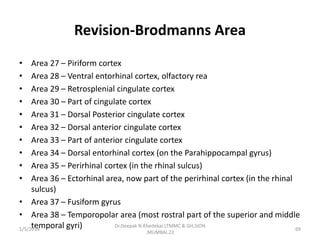 Revision-Brodmanns Area
• Area 27 – Piriform cortex
• Area 28 – Ventral entorhinal cortex, olfactory rea
• Area 29 – Retrosplenial cingulate cortex
• Area 30 – Part of cingulate cortex
• Area 31 – Dorsal Posterior cingulate cortex
• Area 32 – Dorsal anterior cingulate cortex
• Area 33 – Part of anterior cingulate cortex
• Area 34 – Dorsal entorhinal cortex (on the Parahippocampal gyrus)
• Area 35 – Perirhinal cortex (in the rhinal sulcus)
• Area 36 – Ectorhinal area, now part of the perirhinal cortex (in the rhinal
sulcus)
• Area 37 – Fusiform gyrus
• Area 38 – Temporopolar area (most rostral part of the superior and middle
temporal gyri)1/5/2016 69
Dr.Deepak N.Khedekar.LTMMC & GH,SION
,MUMBAI.22
 
