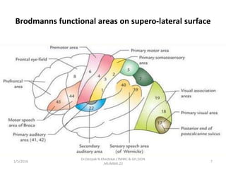 Brodmanns functional areas on supero-lateral surface
1/5/2016 7
Dr.Deepak N.Khedekar.LTMMC & GH,SION
,MUMBAI.22
 