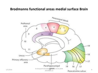 Brodmanns functional areas medial surface Brain
1/5/2016 8
Dr.Deepak N.Khedekar.LTMMC & GH,SION
,MUMBAI.22
 