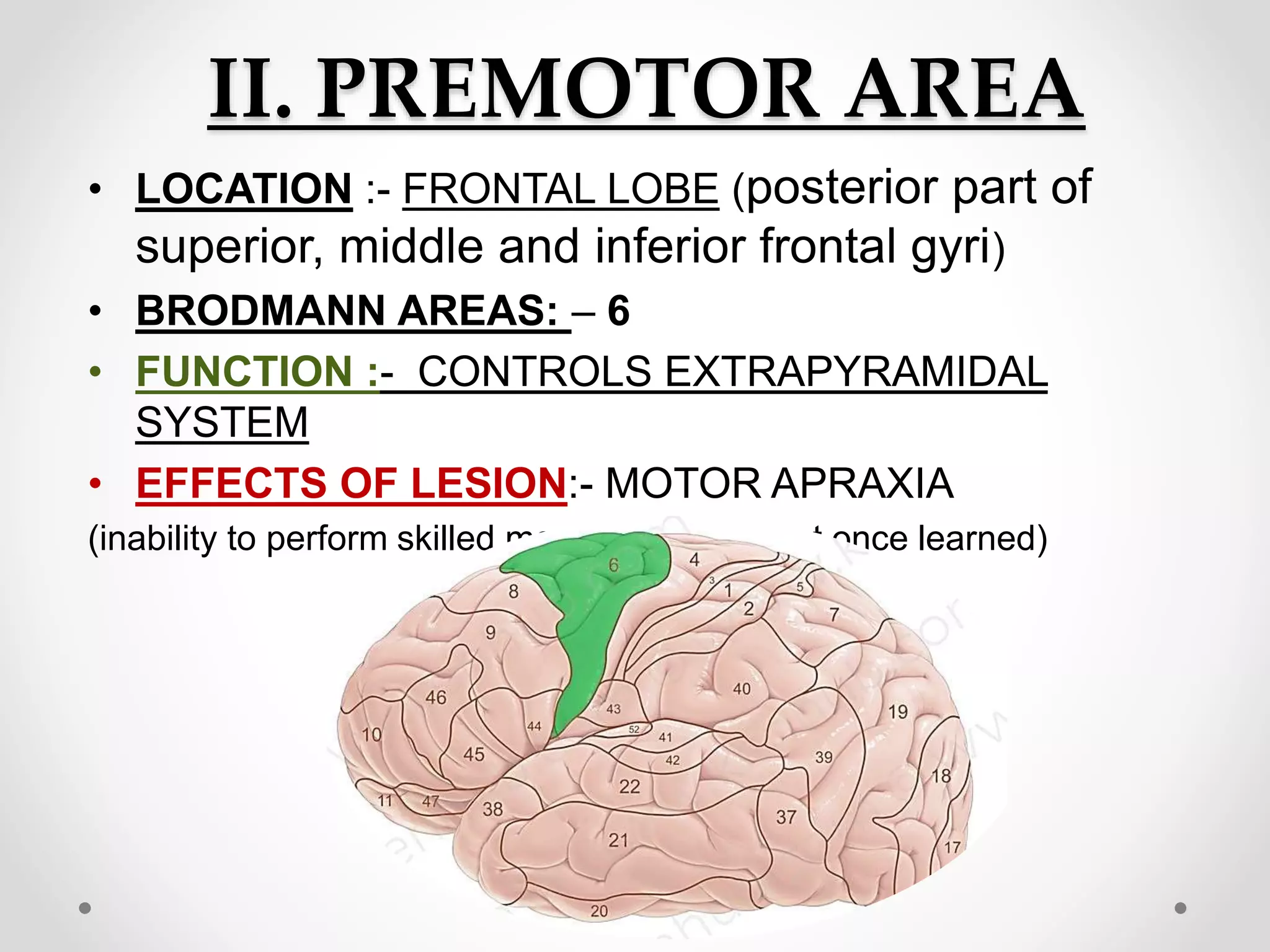 II. PREMOTOR AREA
• LOCATION :- FRONTAL LOBE (posterior part of
superior, middle and inferior frontal gyri)
• BRODMANN AREAS: – 6
• FUNCTION :- CONTROLS EXTRAPYRAMIDAL
SYSTEM
• EFFECTS OF LESION:- MOTOR APRAXIA
(inability to perform skilled movement that what once learned)
 
