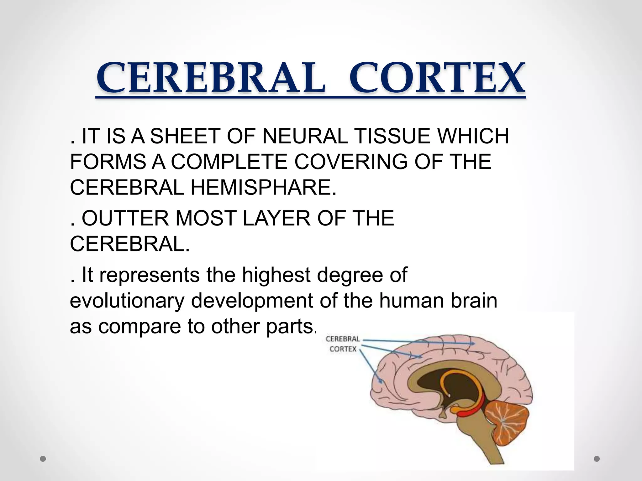 CEREBRAL CORTEX
. IT IS A SHEET OF NEURAL TISSUE WHICH
FORMS A COMPLETE COVERING OF THE
CEREBRAL HEMISPHARE.
. OUTTER MOST LAYER OF THE
CEREBRAL.
. It represents the highest degree of
evolutionary development of the human brain
as compare to other parts.
 