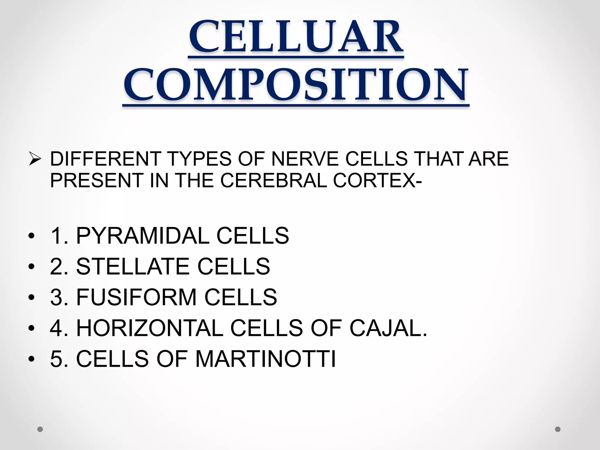 CELLUAR
COMPOSITION
 DIFFERENT TYPES OF NERVE CELLS THAT ARE
PRESENT IN THE CEREBRAL CORTEX-
• 1. PYRAMIDAL CELLS
• 2. STELLATE CELLS
• 3. FUSIFORM CELLS
• 4. HORIZONTAL CELLS OF CAJAL.
• 5. CELLS OF MARTINOTTI
 